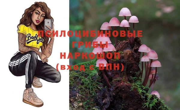 гидропоника Дмитров